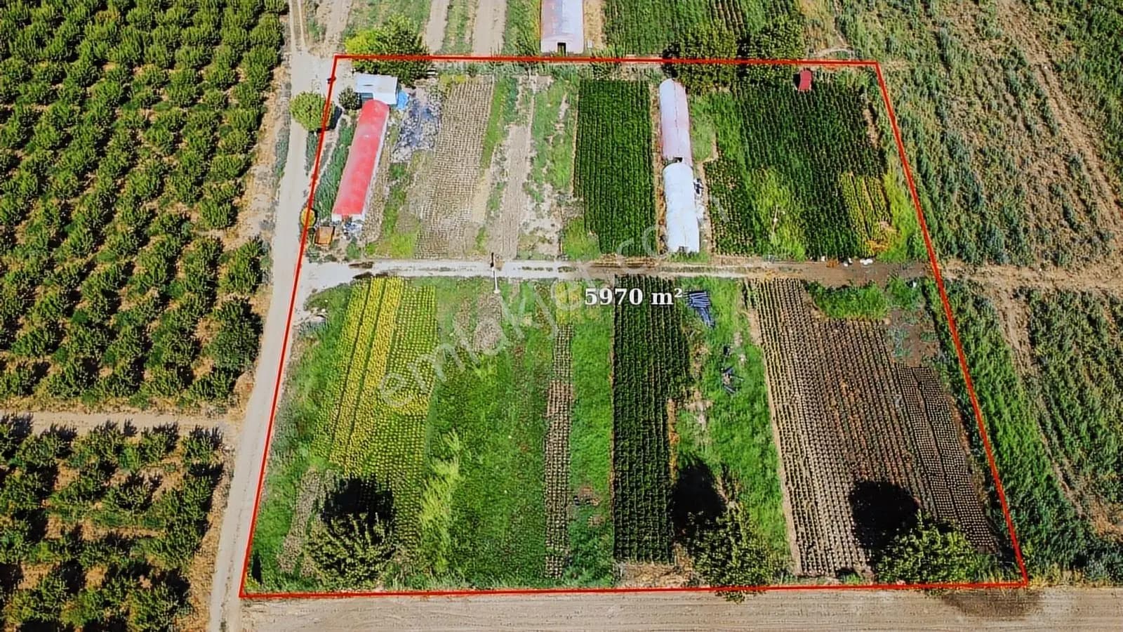 Pasifik'ten Bayındır Sadıkpaşada Yatırımlık 5970 M² Tarla